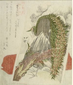 魚屋北渓: Congratulatory Painting of a Peacock and Red Rug, issued by the Shigura Club - ハーバード大学
