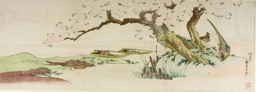 Katsushika Hokusai: Pheasants Under Cherry Tree, Edo period, - Harvard Art Museum