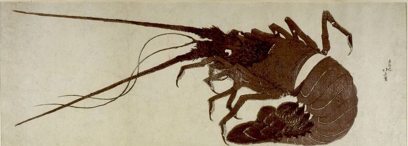 Katsushika Hokusai: Crawfish, Edo period, circa early 19th century - Harvard Art Museum