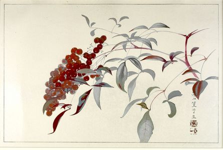 Tsuchiya Rakuzan: Branch with Berries - Harvard Art Museum