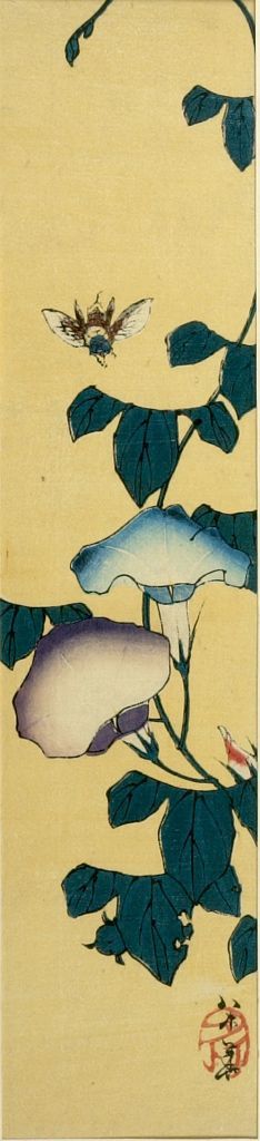 Yamaoka Beika: Morning Glory, Meiji period, - Harvard Art Museum