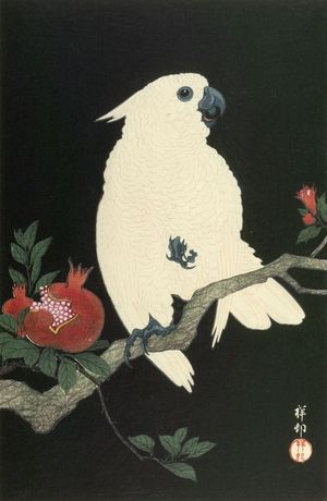 Ohara Koson: Cockatoo on Pomegranate Branch, Shôwa period, circa 1927 - Harvard Art Museum