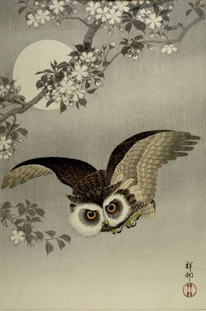 小原古邨: Scops Owl in Flight, Cherry Blossoms and Full Moon, Shôwa period, 1926 - ハーバード大学