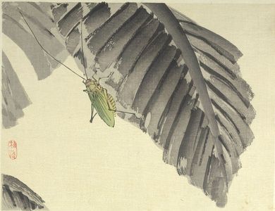 幸野楳嶺: Insect on a Banana Leaf - ハーバード大学