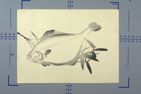 Unknown: Fish on Bamboo - Harvard Art Museum