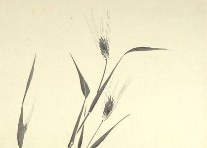 日本版画 "Wheat Stalks" 由 Unknown, 無款 (null) 创作