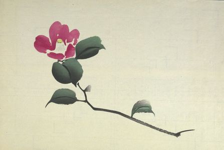 日本版画 "Camellia Branch" 由 Unknown, 無款 (null) 创作