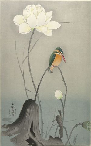 小原古邨: Kingfisher with Lotus Flower, Shôwa period, early to mid 20th century - ハーバード大学