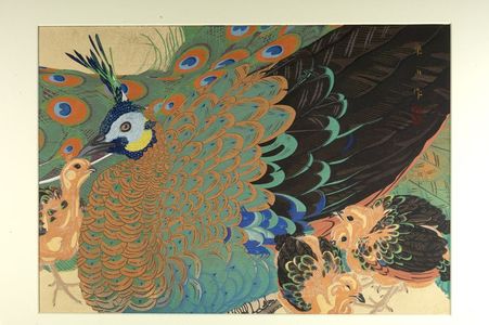 Tsuchiya Rakuzan: Peahen and Chicks - ハーバード大学