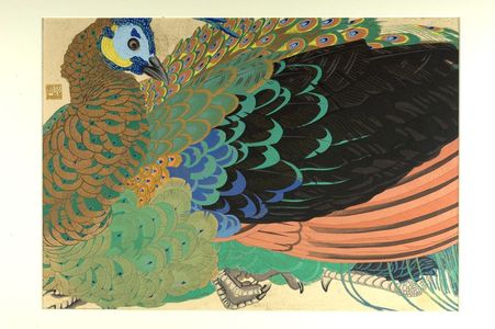 Tsuchiya Rakuzan: Peacock (Shoka Roshûkujaku no osu) - ハーバード大学