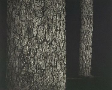 Tanaka Ryôhei: Tree Trunks, Shôwa period, - Harvard Art Museum