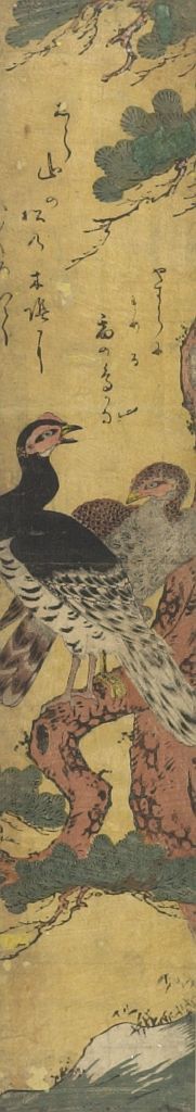 Isoda Koryusai: Moorcock and Hen in Pine Tree - Harvard Art Museum
