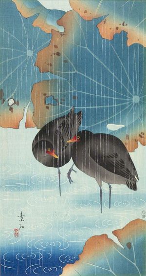 Soseki: Two Gallinules and Lotus Leaves in Shallow Water in the Rain - ハーバード大学