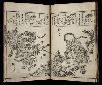 日本版画 "PRINTED BOOK" 由 Unknown, 無款 (null) 创作