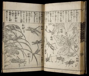 Estampe japonaise "PRINTED BOOK" par Unknown, 無款 (null)