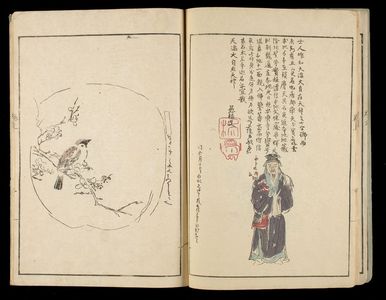 Unknown: Tanyu ringa, Vol. 1 - Harvard Art Museum