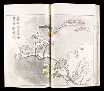 Unknown: Mustard Seed Garden Compendium (Kaishien gaden) based on Chinese Original of 1701, 4th of 6 Volumes, Mid Edo period, 1748 - Harvard Art Museum