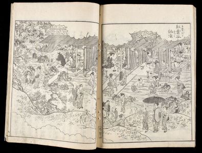 Unknown: ITSUKUSHIMA MEISHO ZUE, Vol. 3 - Harvard Art Museum