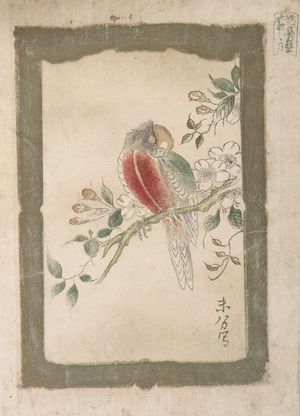 Suiwake: Parrot and Peach Blossoms, from the series Six Pictures of Birds and Flowers - Harvard Art Museum