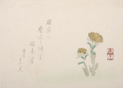 Japanischer Druck "Fukujusô Flowers" von Seirin