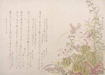 柳々居辰斎: Autumn Flowers, Edo period, dated 1803 - ハーバード大学