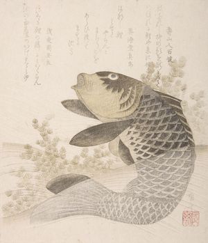 柳々居辰斎: Carp in Rapids, Edo period, circa early 19th century - ハーバード大学