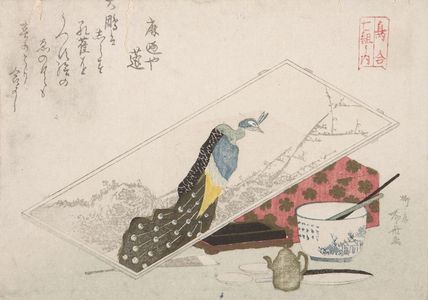 柳々居辰斎: Painting of a Peacock, from a set of seven Bird Comparisons - ハーバード大学