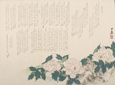 日本版画 "SURIMONO WITH POEMS, PEONIES AND ROCK, Late Edo period, circa 1820-1860" 由 Gaku 创作