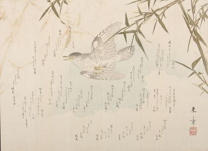 中島来章: SURIMONO WITH POEMS, BIRD AND BAMBOO, Late Edo period, circa 1820-1860 - ハーバード大学
