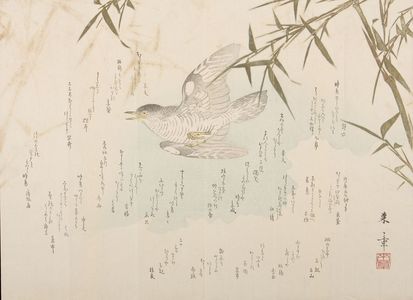 Nakajima Raisho: SURIMONO WITH POEMS, BIRD AND BAMBOO, Late Edo period, circa 1820-1860 - Harvard Art Museum