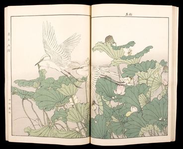 無款: Flowers and Birds of Keinen (Keinen kacho gafu) - ハーバード大学