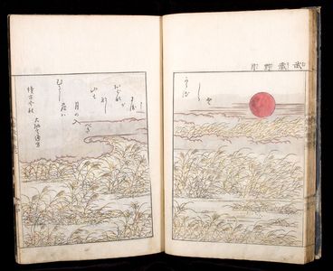 Unknown: ILLUSTRATED WITH JAPANESE PRINTS - Harvard Art Museum