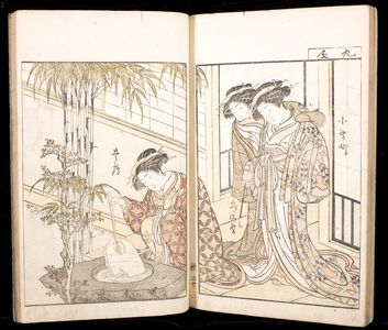 北尾重政: A Comparison of Beauties of the Green Houses: A Mirror of Their Lovely Forms (Seirô bijin awase sugata kagami) Volume One, Edo period, published 1776 - ハーバード大学