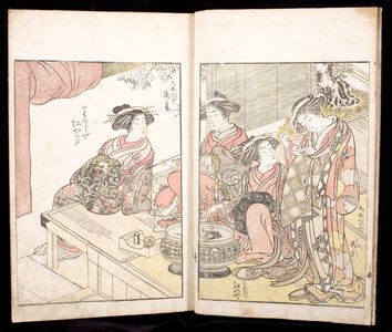 Katsukawa Shunsho: A Comparison of Beauties of the Green Houses: A Mirror of Their Lovely Forms (Seirô bijin awase sugata kagami) Volume Two, Edo period, published 1776 - Harvard Art Museum