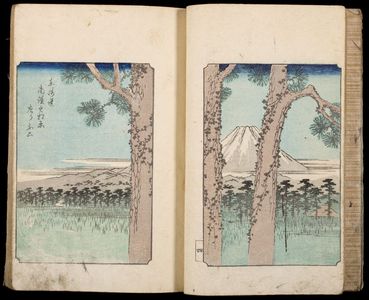 Unknown: ILLUSTRATED WITH JAPANESE PRINTS - Harvard Art Museum