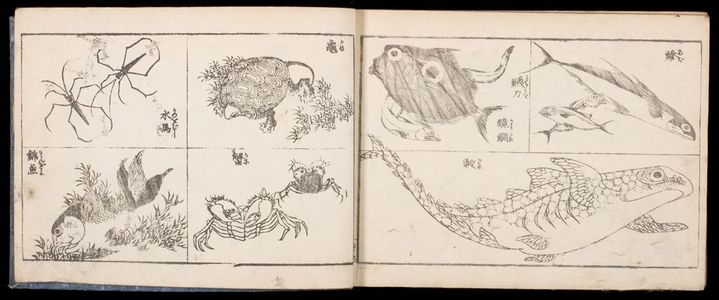 無款: Sketches of Birds and Flowers and Landscapes (Kacho sansui zushiki) - ハーバード大学