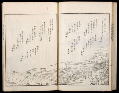 Utagawa Hiroshige: Illustrated Satirical Poems About Famous Scenic Views in Edo (Kyôka Edo meisho zue), Vol. 9, Late Edo period, dated 1856 (Ansei 3, 5th month) - Harvard Art Museum