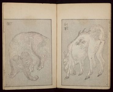 Katsushika Hokusai: Random Sketches by Hokusai (Hokusai manga) Vol. 2, Late Edo period, dated 1815 - Harvard Art Museum