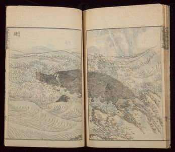 Katsushika Hokusai: Random Sketches by Hokusai (Hokusai manga) Vol. 14, Late Edo period, dated 1849 - Harvard Art Museum