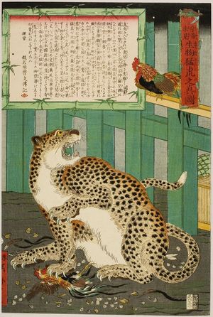 河鍋暁斎: True Picture of a Live Wild Tiger, Late Edo period, sixth month of 1860 - ハーバード大学