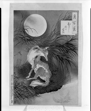 月岡芳年: Moon at Musashi Plain (Musashino no tsuki), from the series One Hundred Aspects of the Moon (Tsuki hyaku sugata), Meiji period, 1892 (4th month) - ハーバード大学