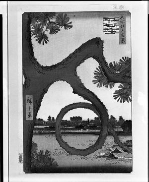歌川広重: Moon Pine, Ueno (Ueno sannai Tsuki no matsu), Number 89 from the series One Hundred Famous Views of Edo (Meisho Edo hyakkei), Late Edo period, dated 1857 (8th month) - ハーバード大学