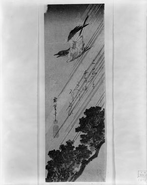 Unknown: Bird in Flight, Edo period, - Harvard Art Museum