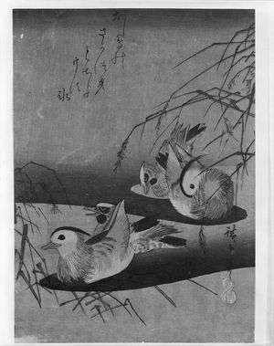 Unknown: JAPANESE PRINTS - Harvard Art Museum