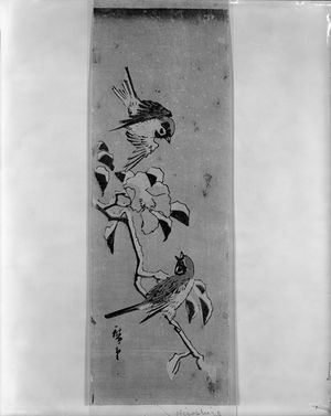 Unknown: TWO BIRDS ON A BRANCH - Harvard Art Museum