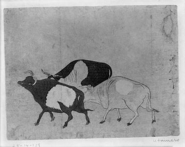 Unknown, 無款 (null)による浮世絵「CATTLE」