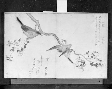 Unknown: ILLUSTRATED WITH JAPANESE PRINTS - Harvard Art Museum