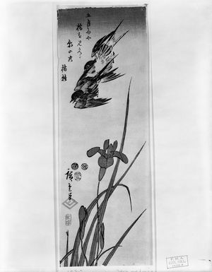 Utagawa Hiroshige: SWALLOWS AND IRIS, Late Edo period, 1853 - Harvard Art Museum