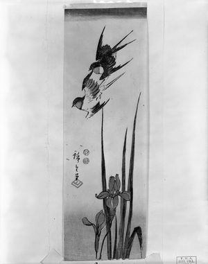Utagawa Hiroshige: SWALLOWS AND IRIS - Harvard Art Museum