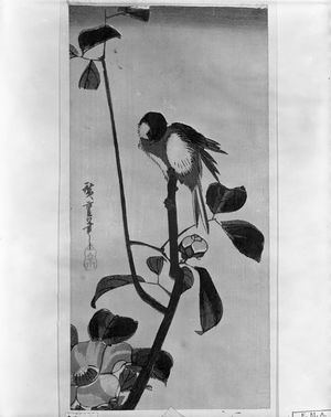 Utagawa Hiroshige: CAMELLIA AND LOVE BIRD - Harvard Art Museum